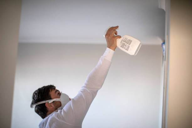Best Toxic Mold Removal  in Fraser, CO